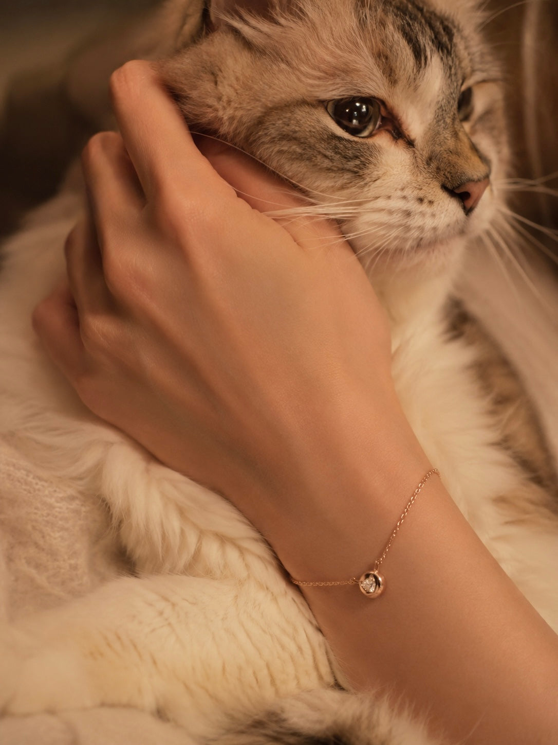 Adamas Cat Amby